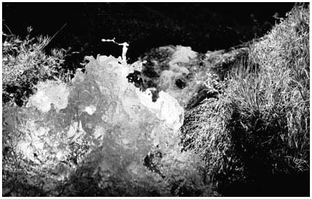 18-water