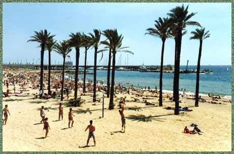 the beach