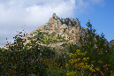 028-0905nissi033a