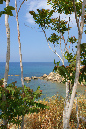 046-0905nissi083a
