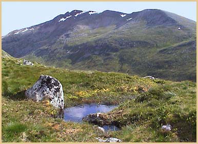 02_nevis