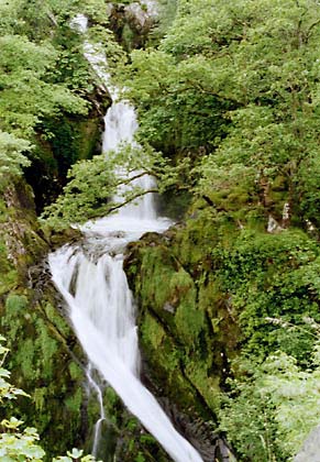 s12