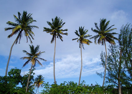 wi_00