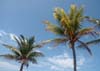 09 Labadee