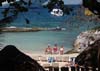 36 Cozumel, coast
