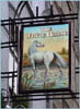 white_horse